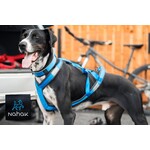 Leashes, collars, and harnesses