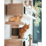 Arbres à chat et griffoirs pour l’activité