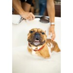 CANINE HYGIENE AND WELL-BEING