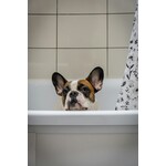 Shampoing et accessoires canin