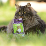 Probio - Santé digestive -  Immunité pour chats