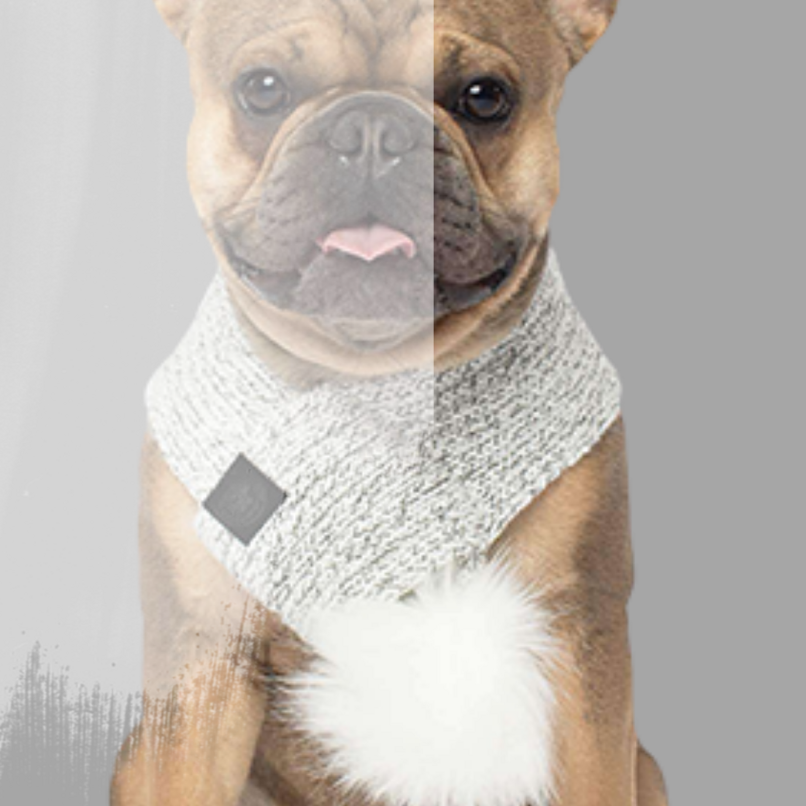 Dog Scarf | Sale
