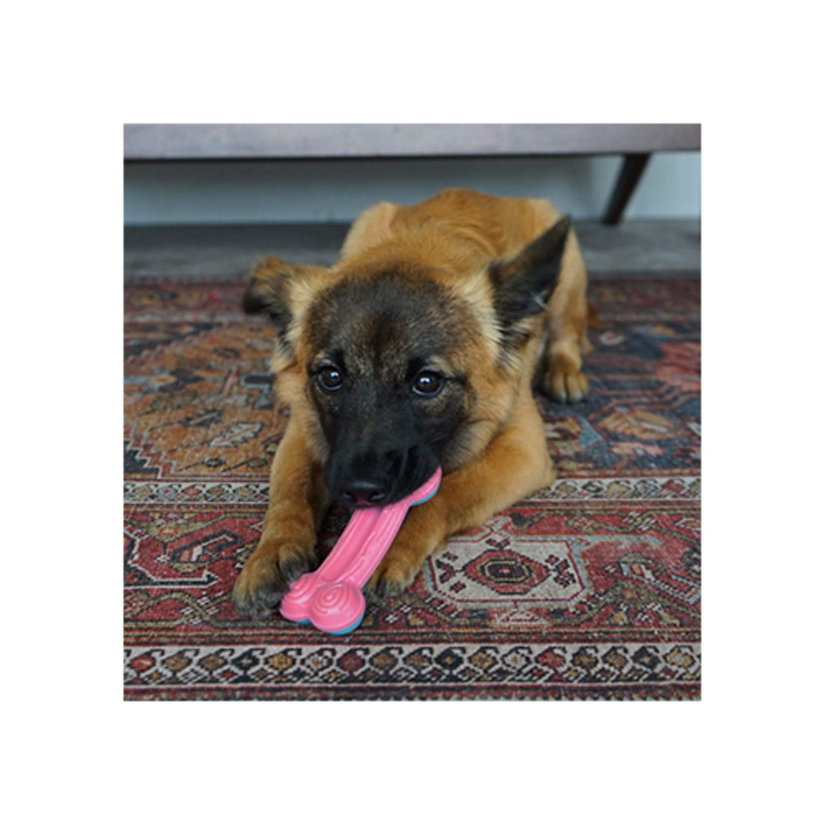 kong Os incurvé pour Chiot - Jouet pour Grand Chiot