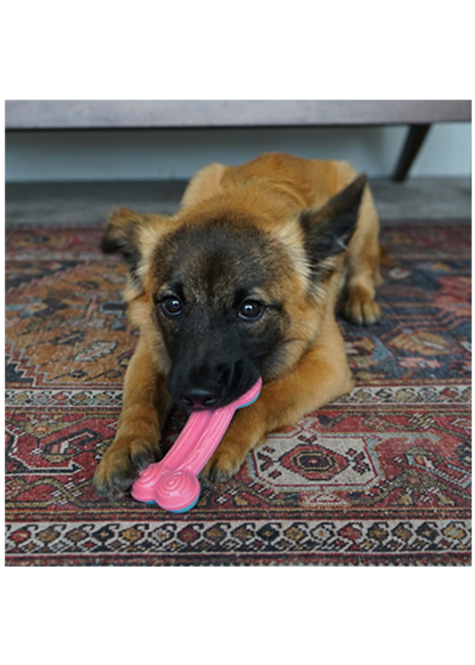 kong Curved bone for puppies - Toy for large puppies