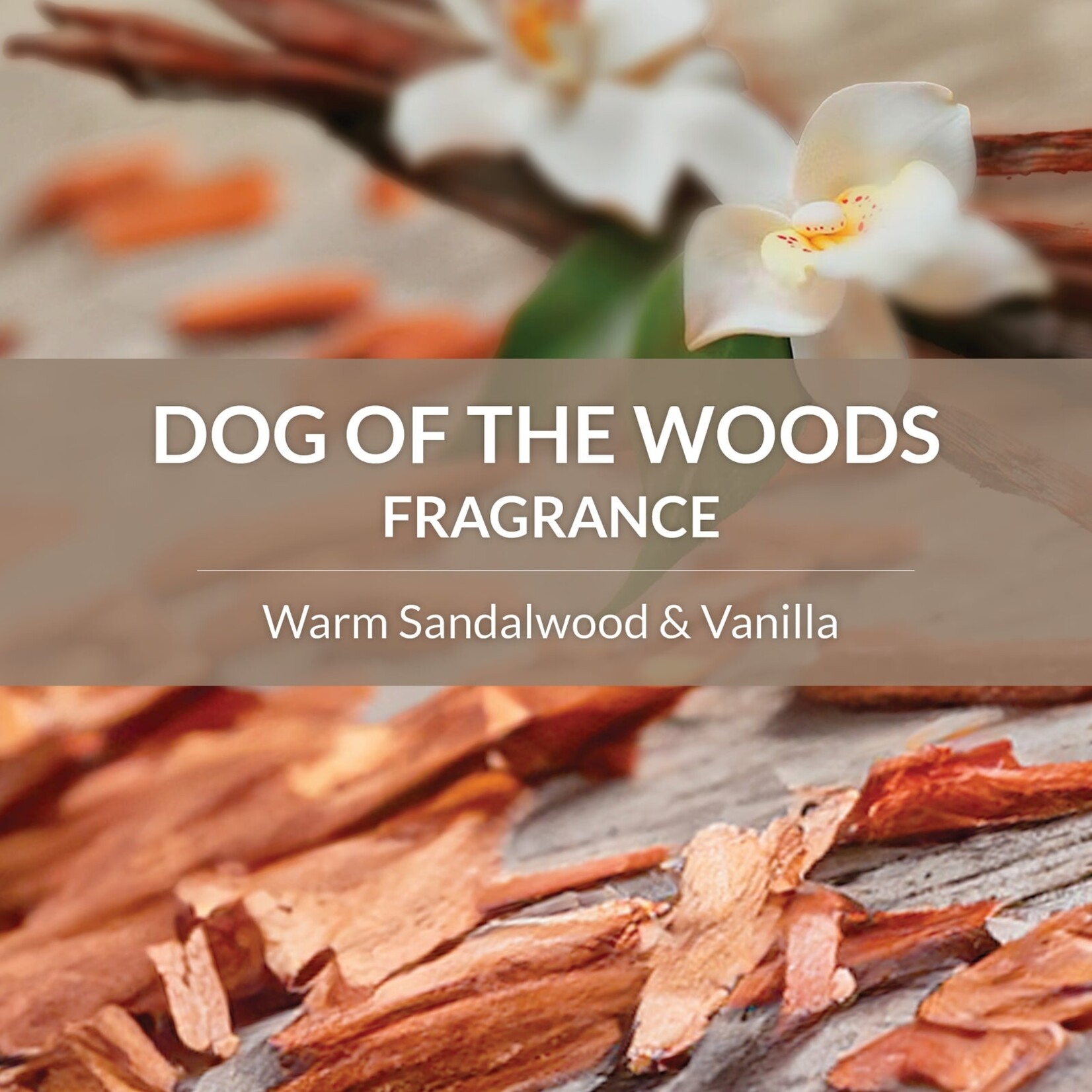 Shampooing et après-shampoing Probiotiques - Chien des Bois - 473 ML