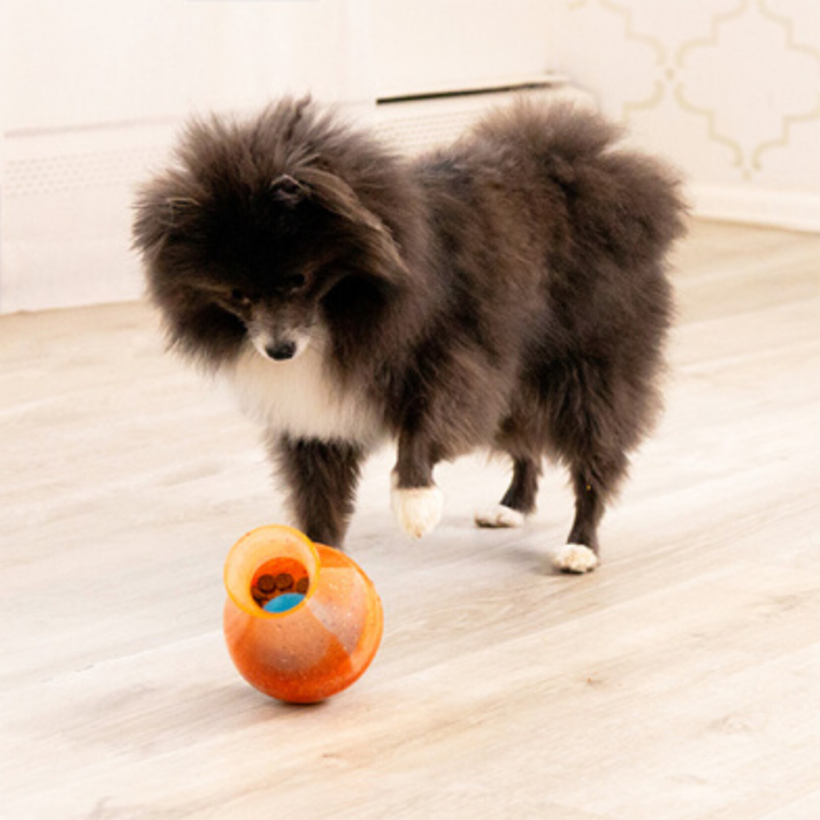 kong Treat-dispensing toy