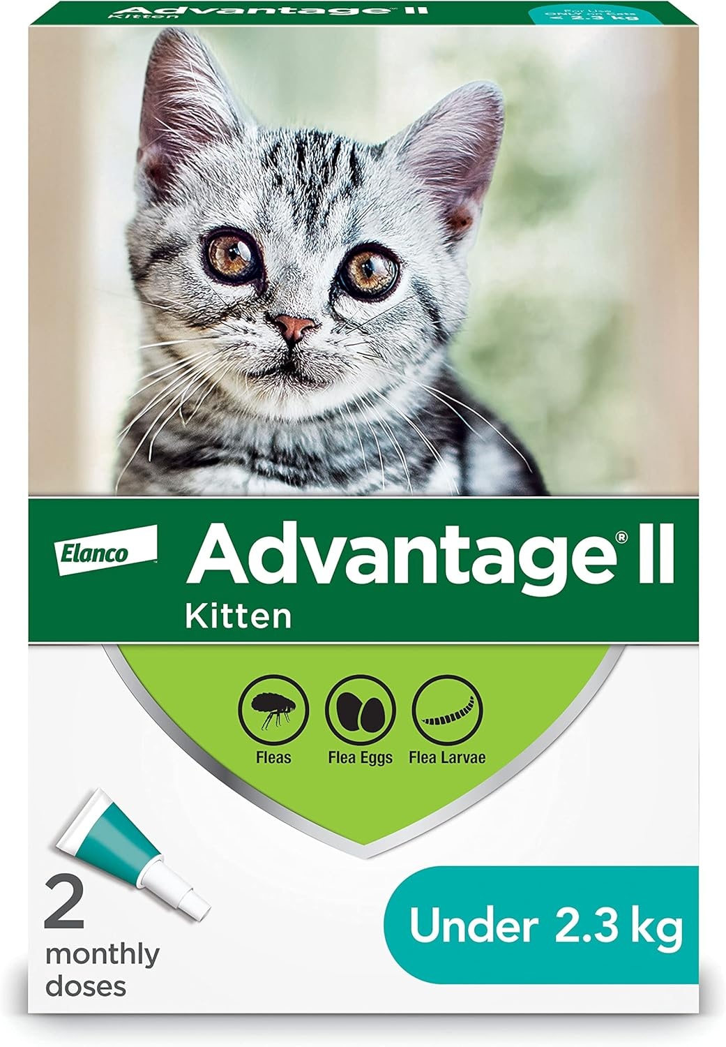 Advantage II - Happy et Joy, boutique pour animaux