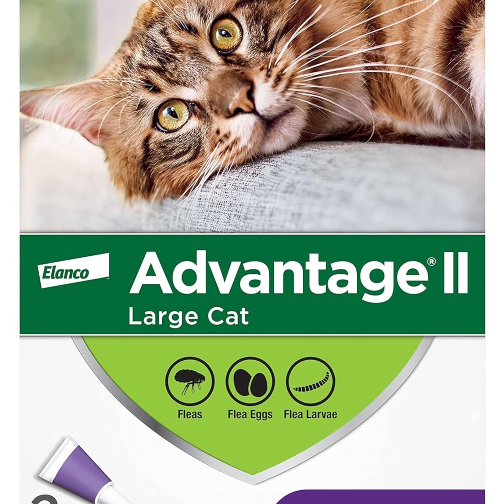 Advantage II