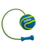 kong The Bunji high-visibility ball glows in the dark