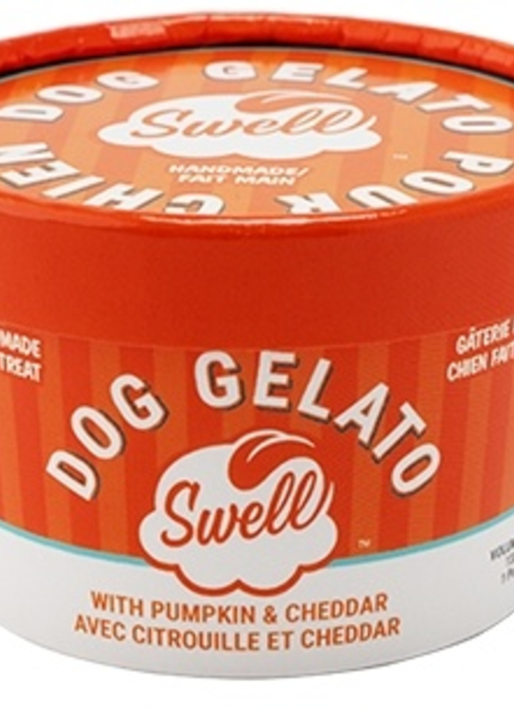 Frozen treat for dogs - Pumpkin and Cheddar - Gelato - 4.5 oz