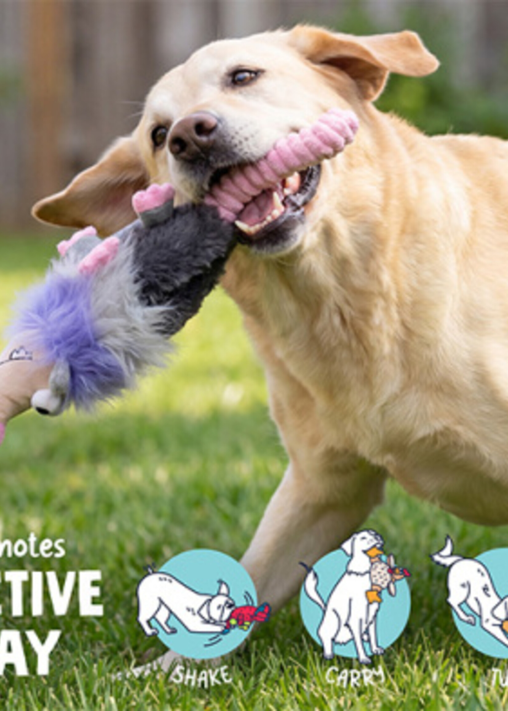 Pippa Possum Big - Dog Toy