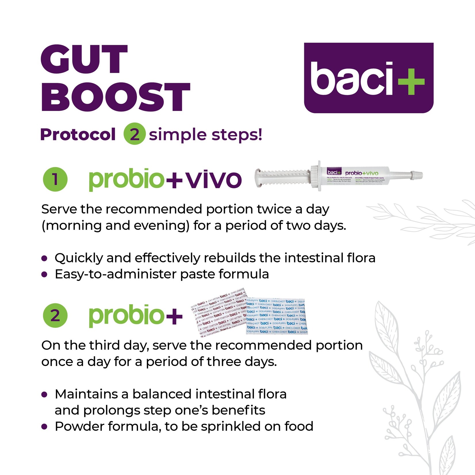 probio+ Gut Boost Kit for Cats