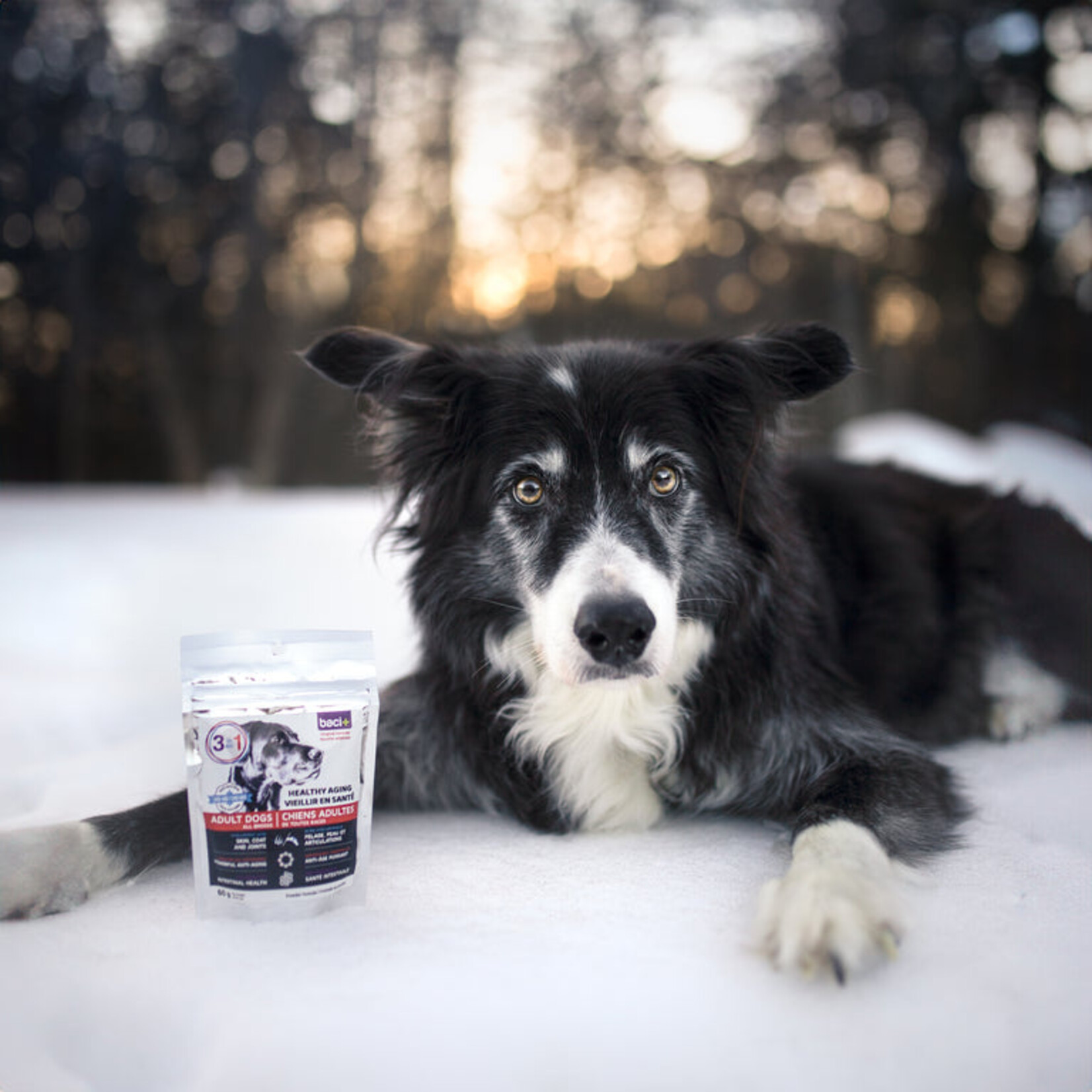 Adult Dogs - Joint Health - Skin - Neurological - Cardiac - Intestinal - Immune System