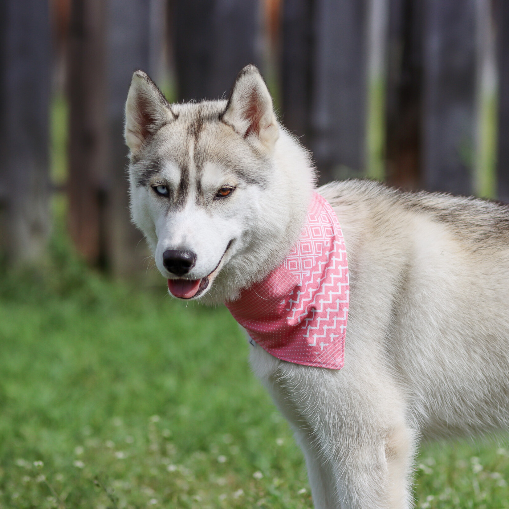 Adjustable Pink Bandana | Two Looks, Zero Compromise