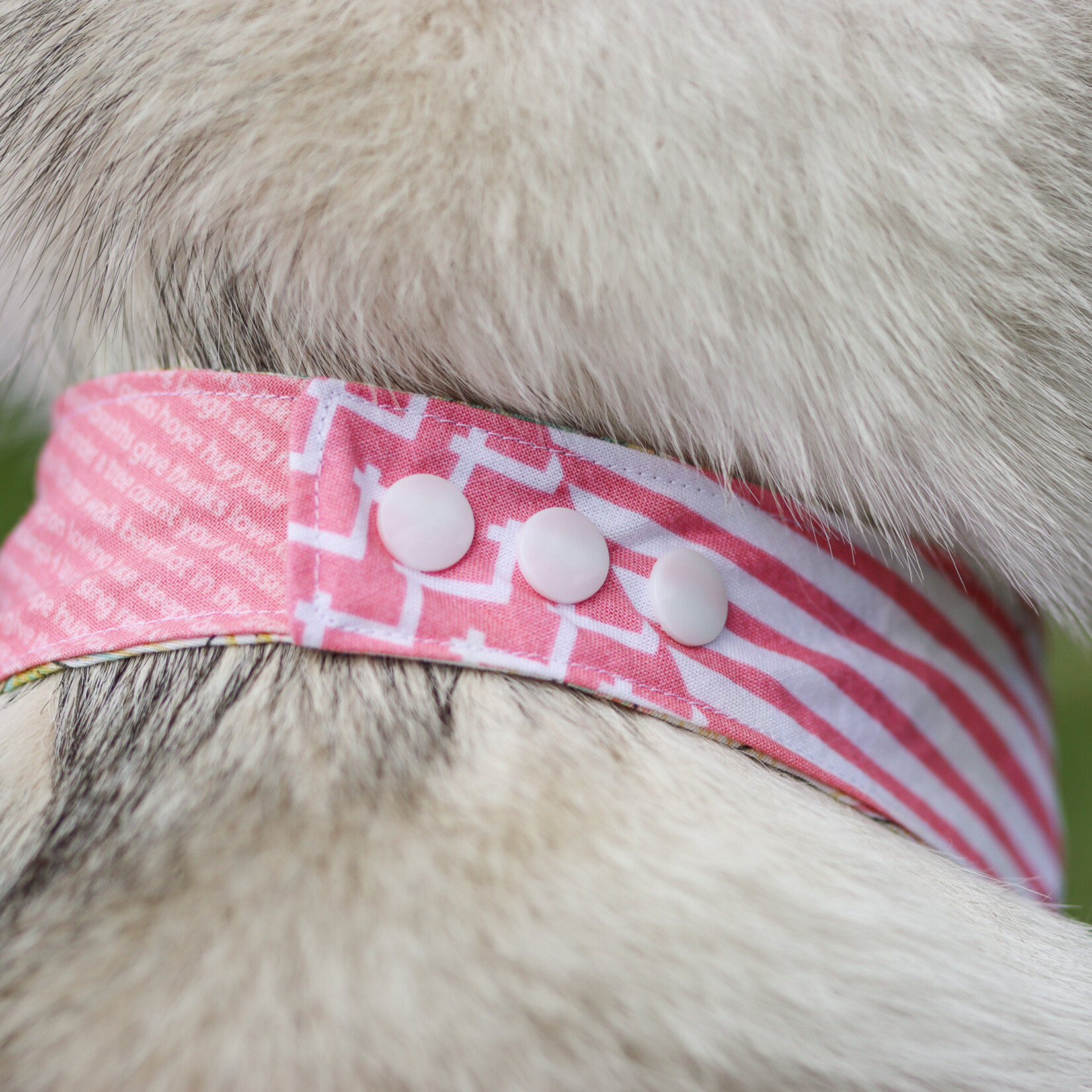 Bandana rose ajustable | Deux looks, zéro compromis