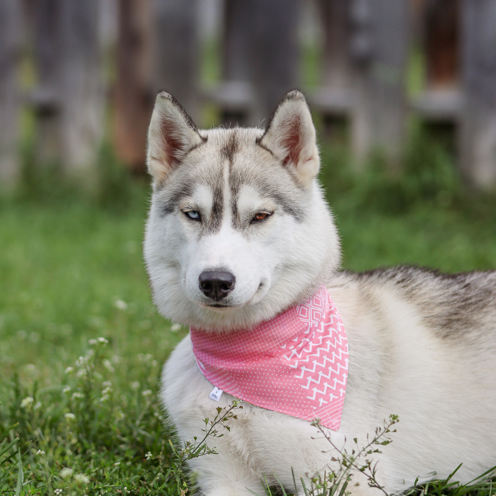 Bandana rose ajustable | Deux looks, zéro compromis