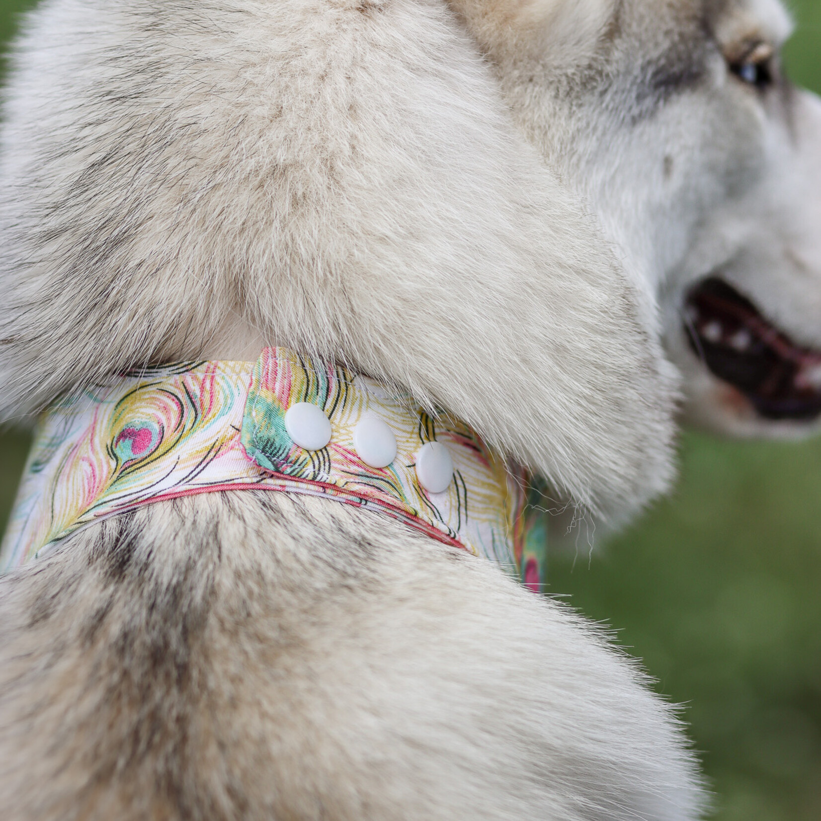 Bandana rose ajustable | Deux looks, zéro compromis