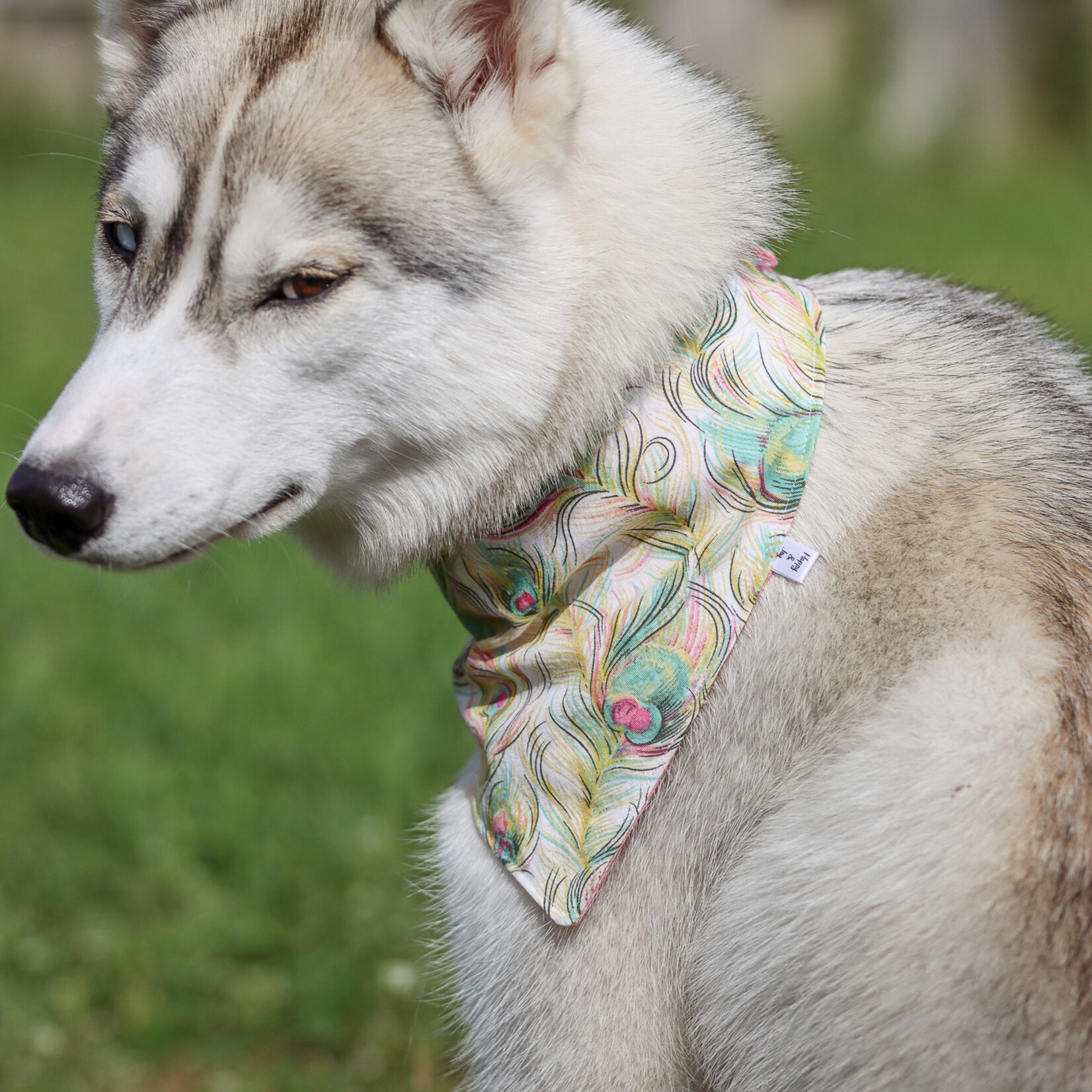 Adjustable Pink Bandana | Two Looks, Zero Compromise