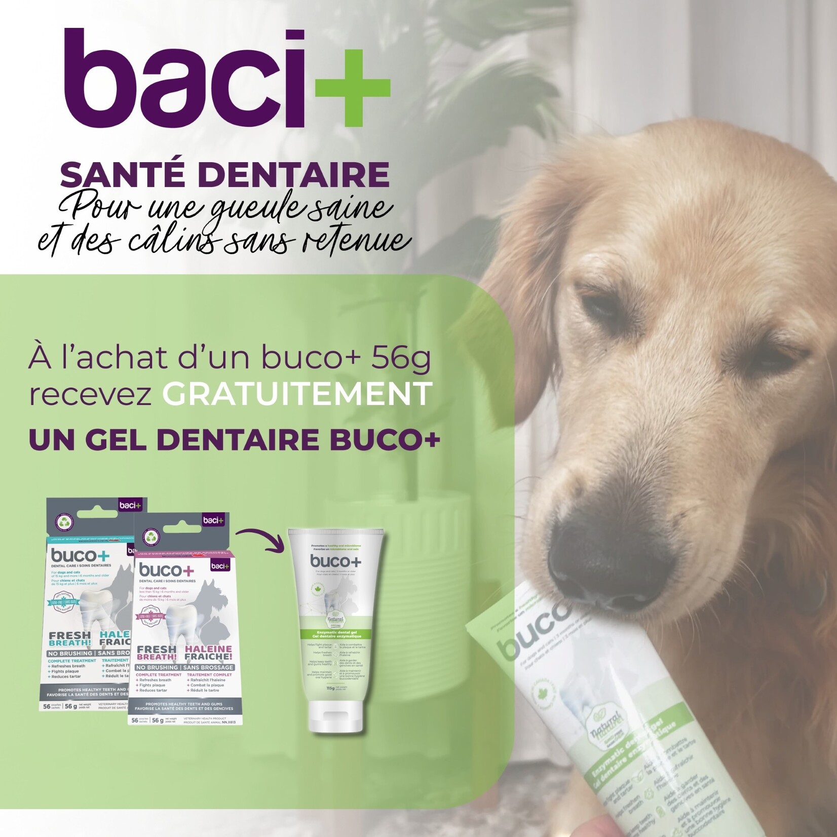 buco+ Oral Hygiene — Health Canada approved solution for cats and dogs