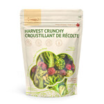 LOOPY PAWS Crunchy Harvest - Broccoli - Dog Food Supplement / 30 g