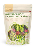 LOOPY PAWS Récolte Croquante - Brocoli - Complément alimentaire pour Chien / 30 g