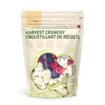 LOOPY PAWS Crunchy Harvest - Cauliflower - Dog Food Supplement / 30 g