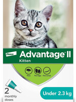 Protection contre les puces Advantage II pour les chats