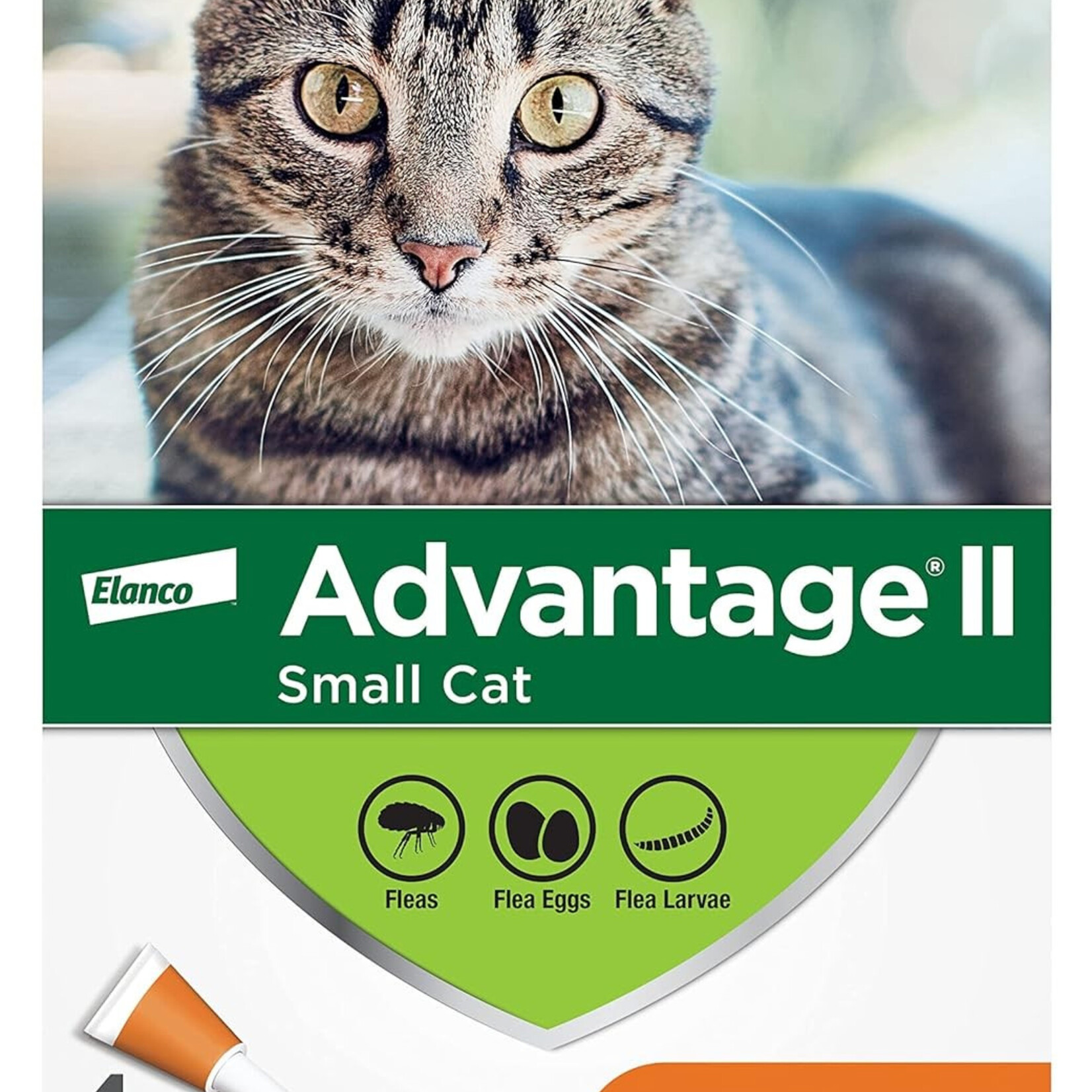 Protection contre les puces Advantage II pour les chats