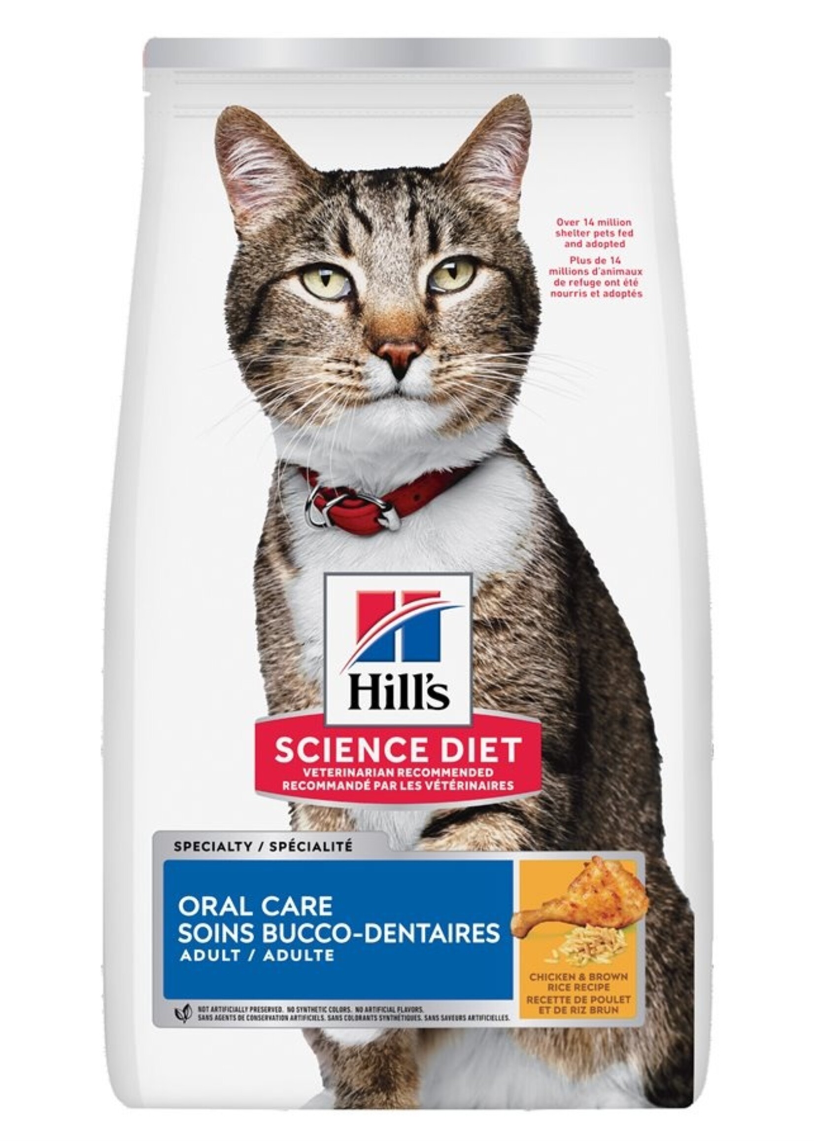 Santé Dentaire - Chat - Poulet