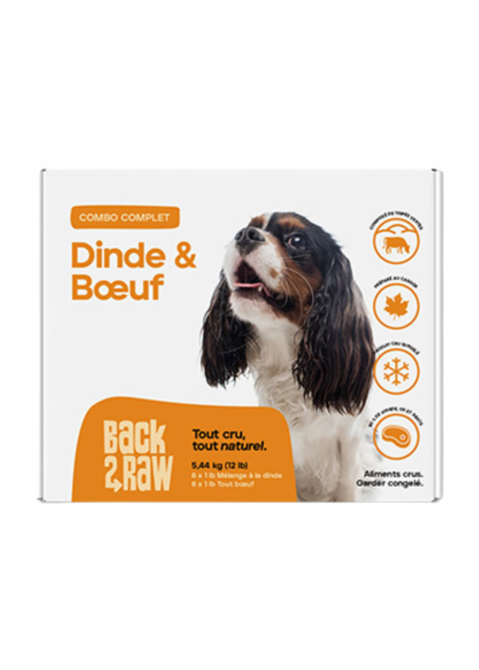 Recette Dinde et Bœuf - Nourriture Congelée pour Chiens / 12 lb