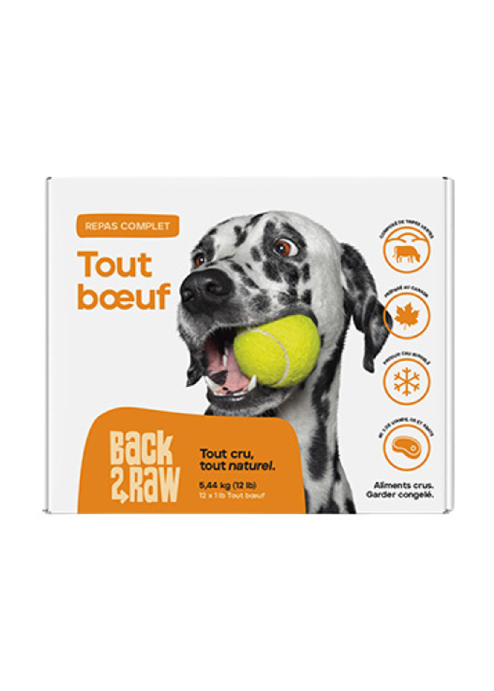 Complete raw beef recipe - Frozen dog food / 12 lb