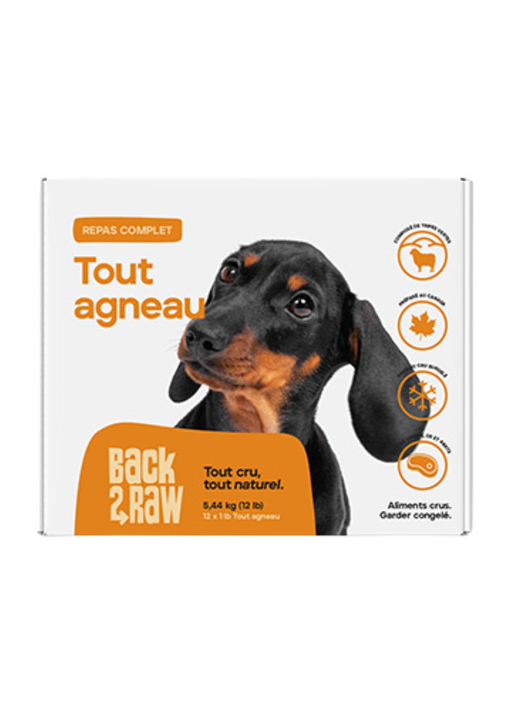Recette complète d’agneau - Nourriture surgelée pour Chiens / 12 lb