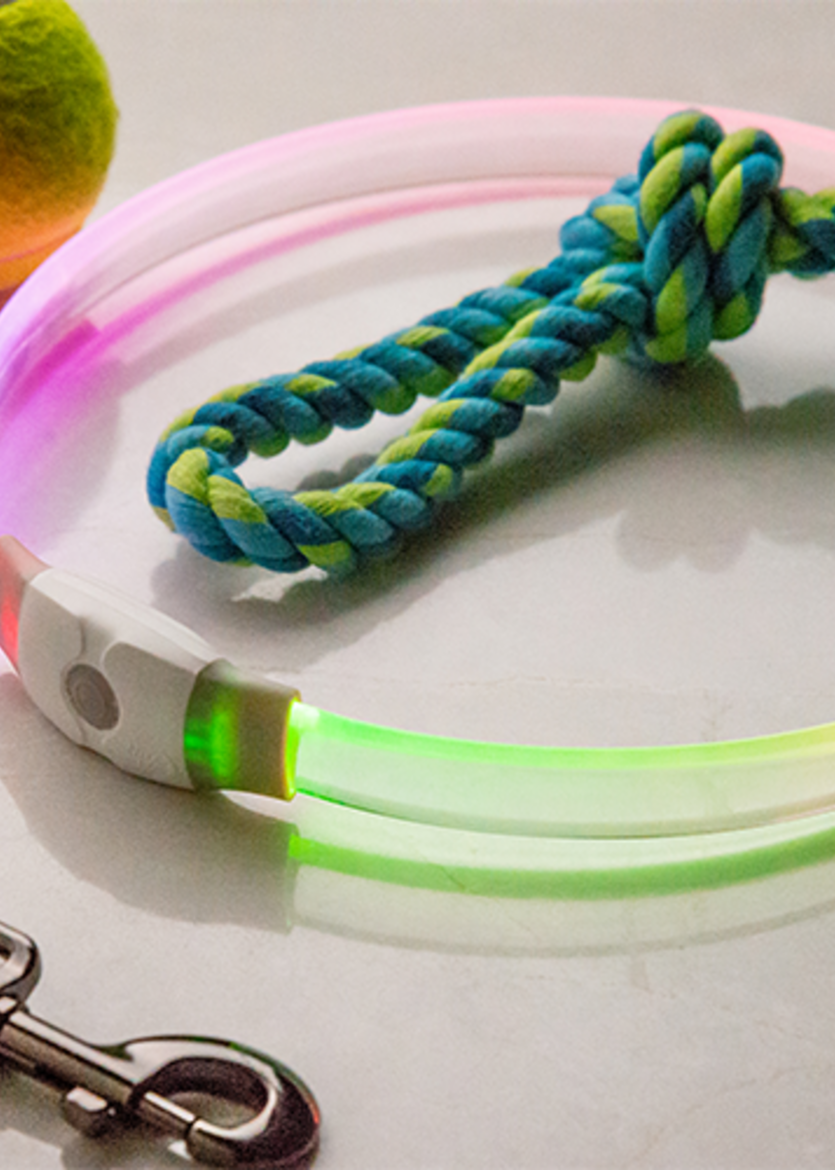 Collier de sécurité LED - Rechargeable Max DISCO-O Select