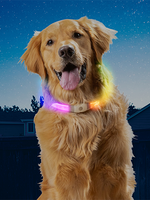 Collier de sécurité LED - Rechargeable Max DISCO-O Select
