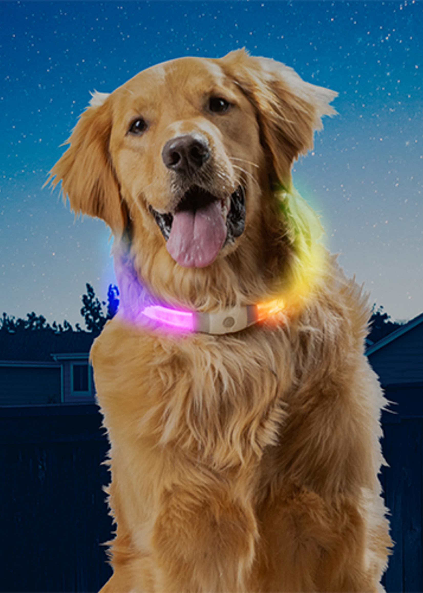 Collier de sécurité LED - Rechargeable Max DISCO-O Select