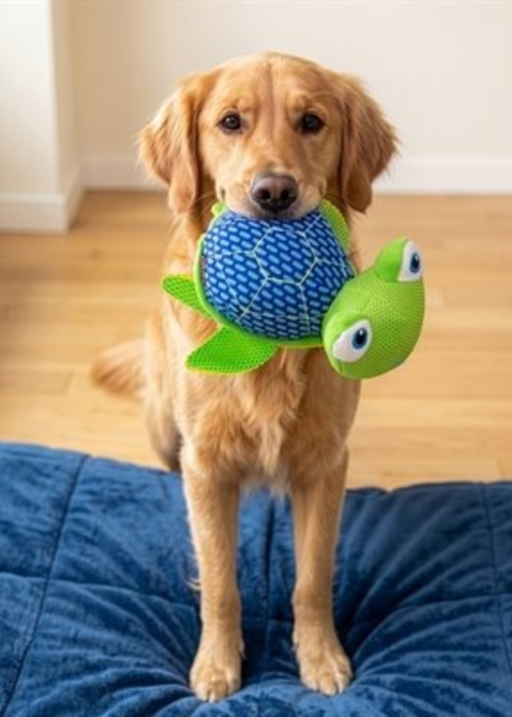 kong Dog Toy - Turtle / Medium Large