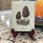 Lima Bean Mushroom Plantable Card