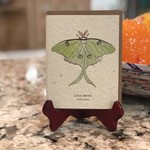Lima Bean Luna Moth Plantable Card
