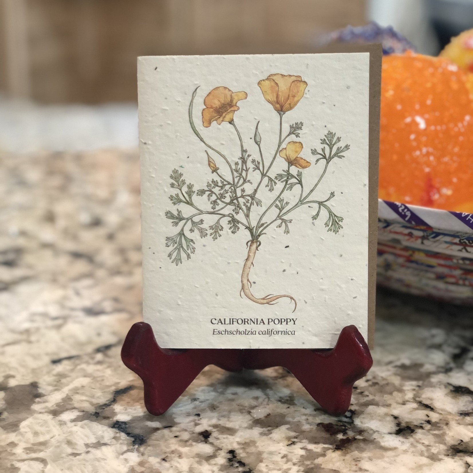 Lima Bean Plantable Card - California Poppy