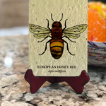 Lima Bean Honey Bee Plantable Card