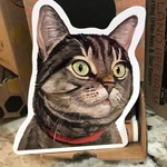 Lima Bean Grey Tabby Cat Sticker