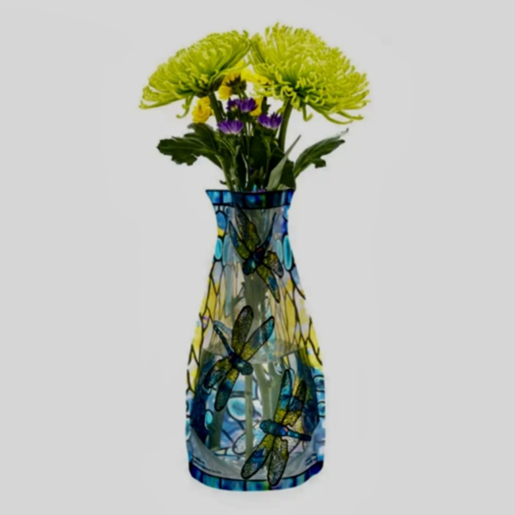 Lima Bean Expandable Vase - Dragonfly