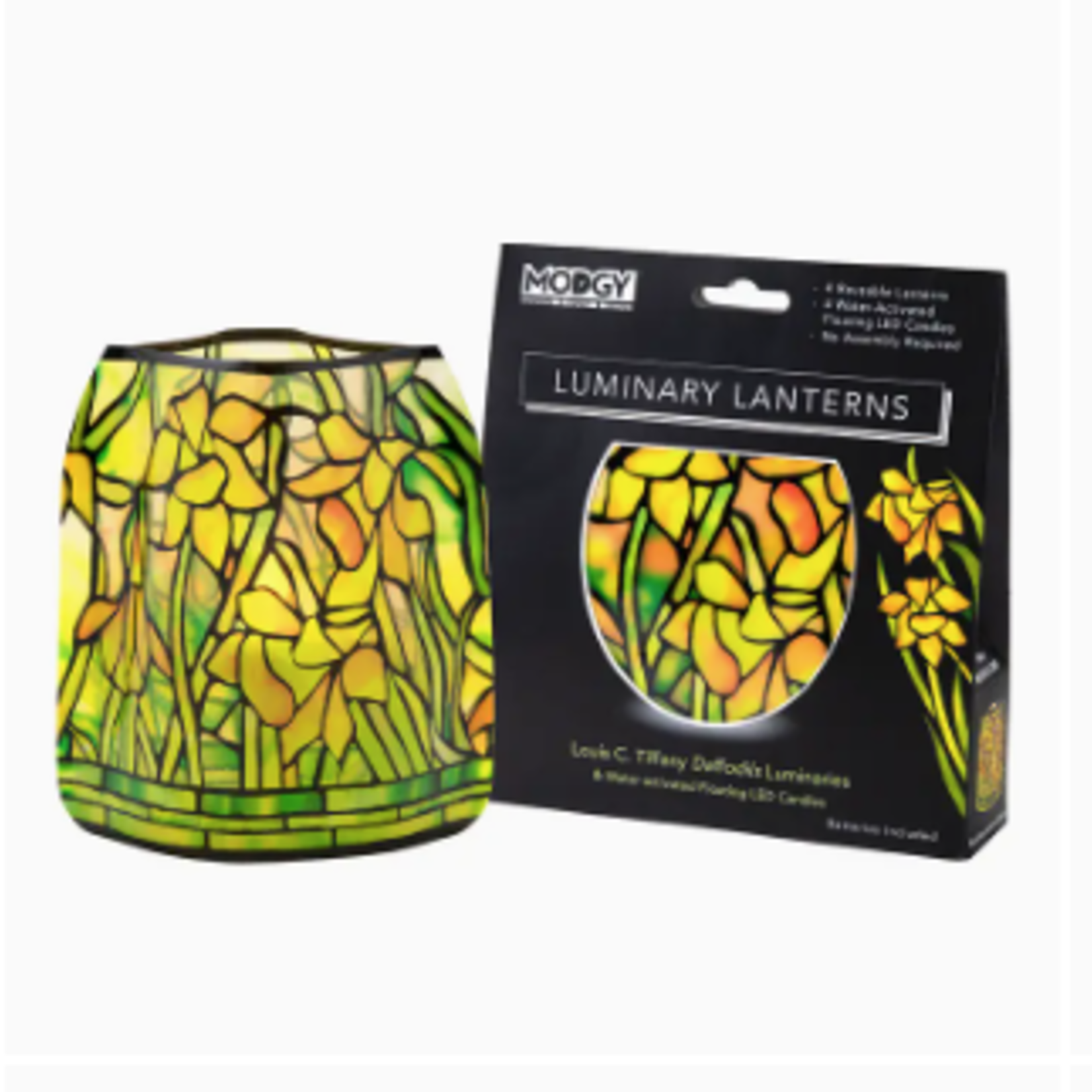 Lima Bean Luminary Lantern - Louis C. Tiffany Daffodils