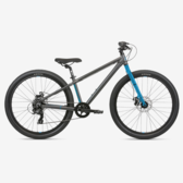 HARO BEASLEY 26 YTH MTN BIKE Red Mountain Cycle, LLC