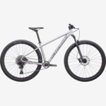 SPECIALIZED ROCKHOPPER EXPERT 29 MTN BIKE