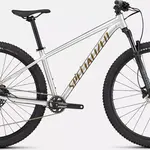 SPECIALIZED ROCKHOPPER EXPERT SILDST/BNTGLDMET M - 29