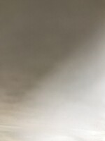 Generic WP 10" 38mm Color Stripes V1019