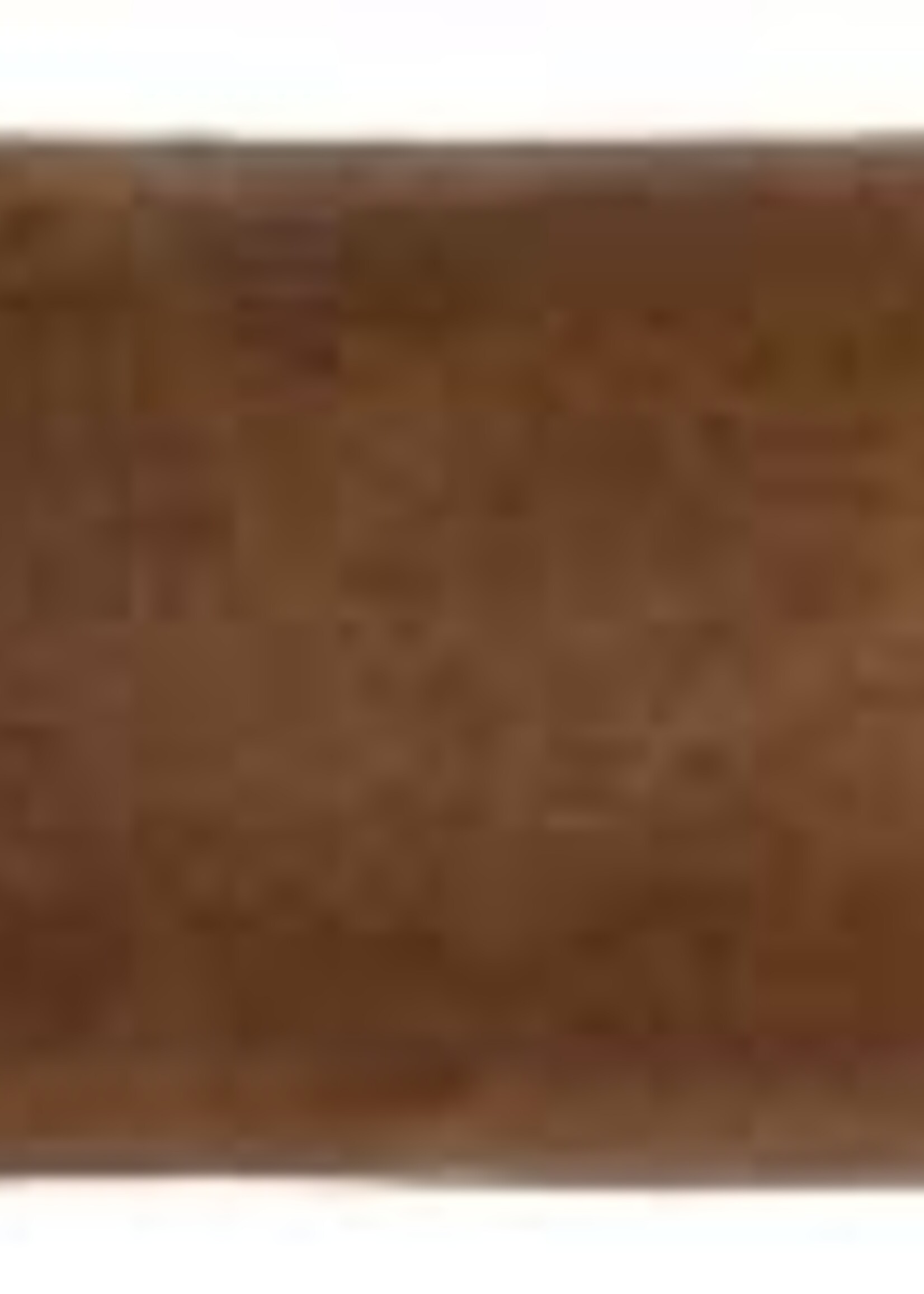 Oliva Cigar Co., Inc Oliva SERIE O 6 x 60 DBL. TORO 10ct
