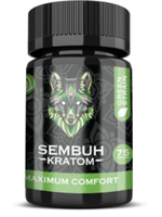 Sembuh Sembuh 75g