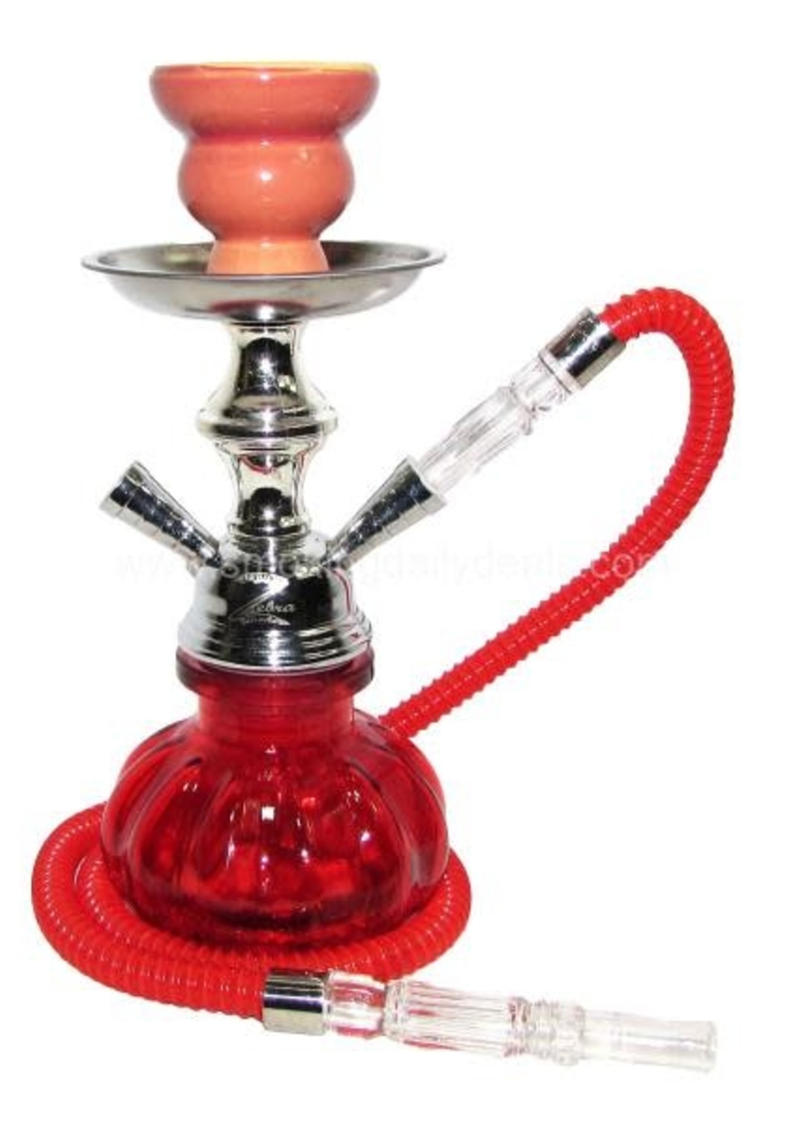 Zebra Pumpkin  X2 Hookah - 1 Hose